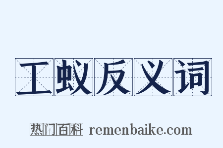 工蚁反义词是什么意思的图片